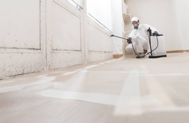 24/7 Emergency Attic Mold Remediation experts in Magnolia, TX
